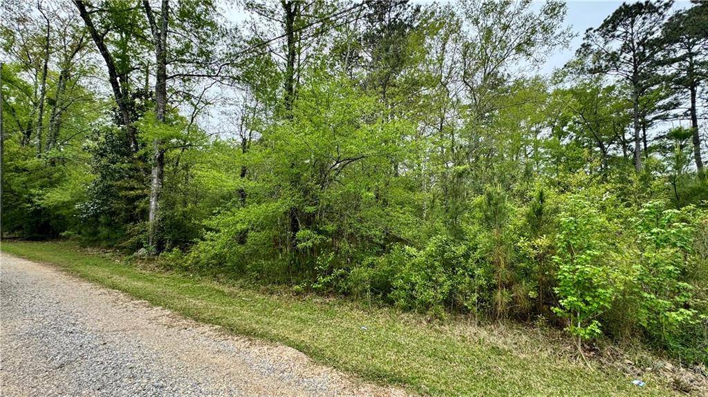 Hammond, LA 70403,LITTLE VEGAS DR