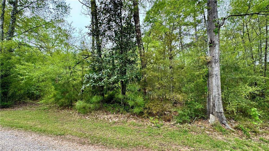Hammond, LA 70403,LITTLE VEGAS DR
