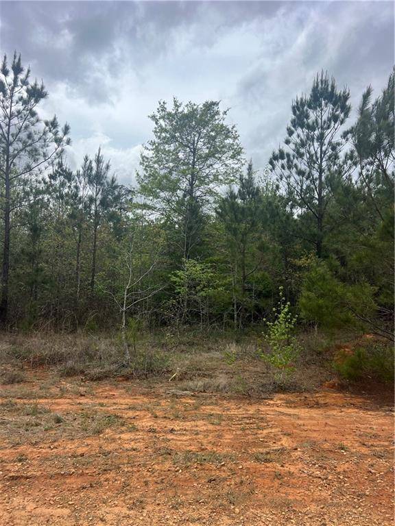 Pollock, LA 71467,Tract 1 HUGHART RD