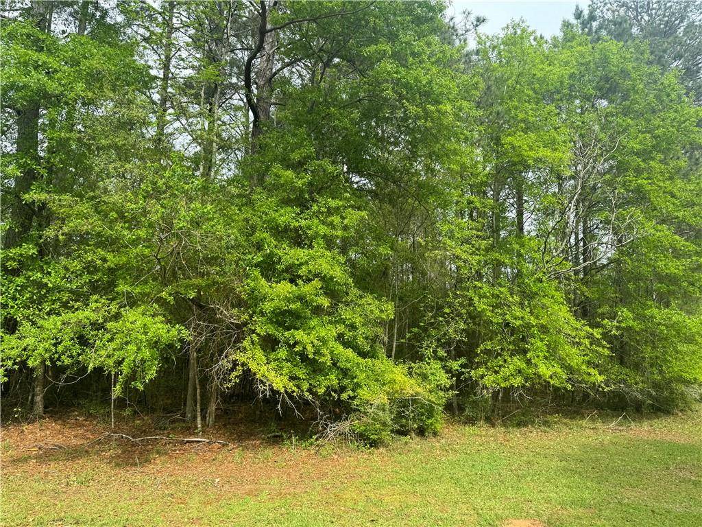 Amite, LA 70422,OLD REID RD
