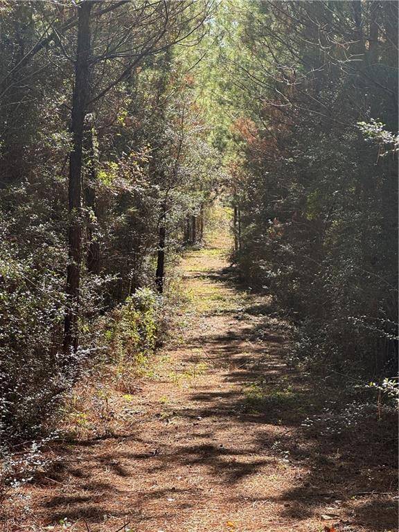 Mount Hermon, LA 70450,Address not disclosed