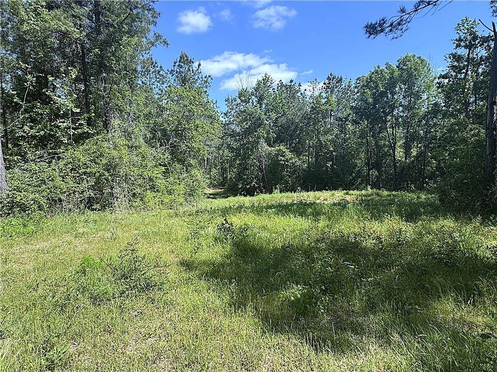 Bush, LA 70431,14.78 Acres SIDNEY SPELL RD