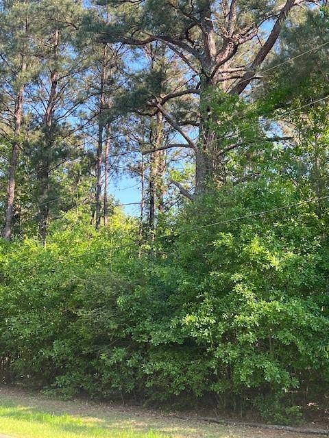 Folsom, LA 70437,0 RAEHYO LN