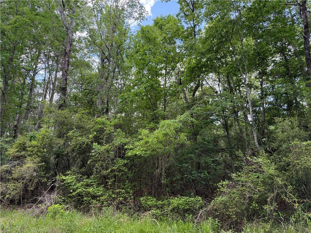 Hornbeck, LA 71439,TBD GUM SPRINGS LOOP