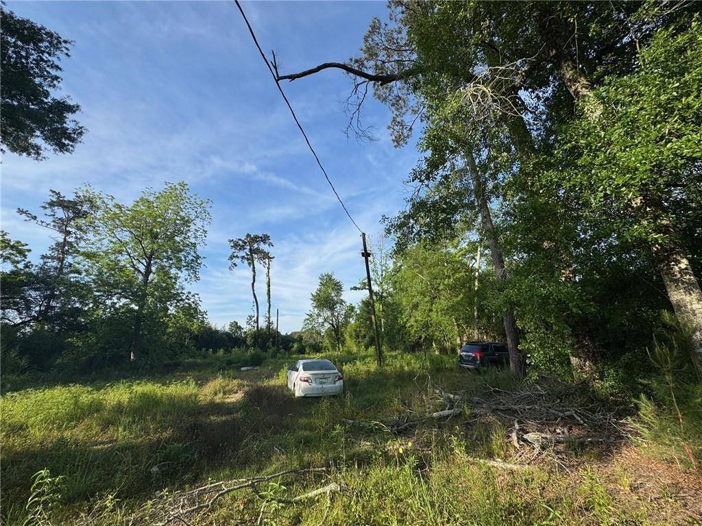 Hammond, LA 70403,17188 EAST PARK AVE