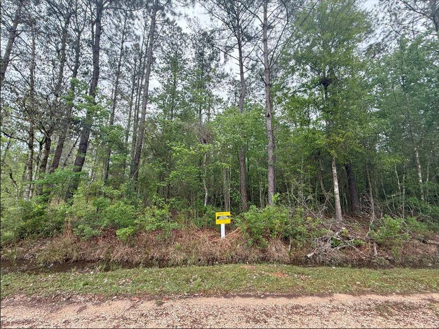 Abita Springs, LA 70420,PAR ST