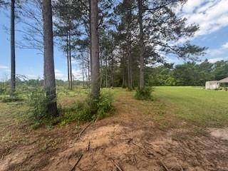 Pollock, LA 71405,MEADOW LN