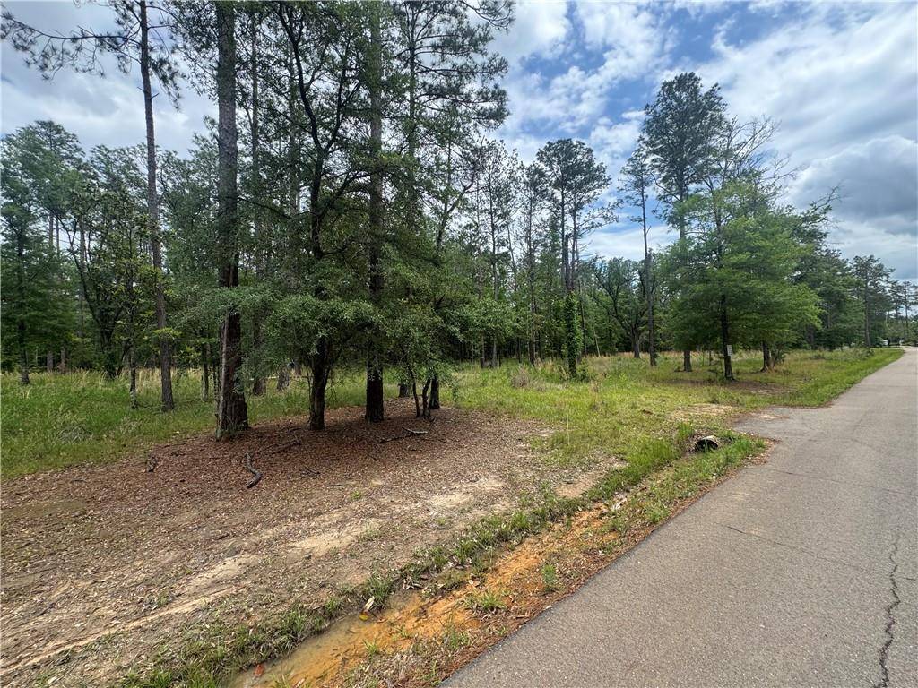 Folsom, LA 70437,50150 SPIRIT OF THE FOREST LN