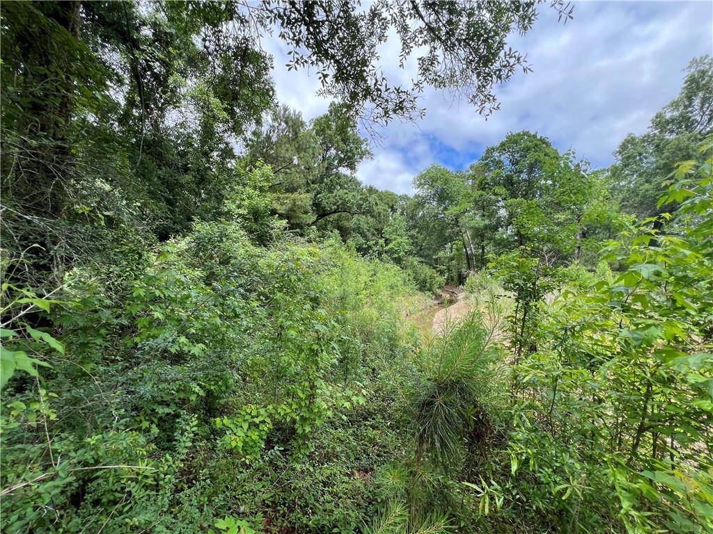 Ponchatoula, LA 70454,TBD MIKE COOPER RD