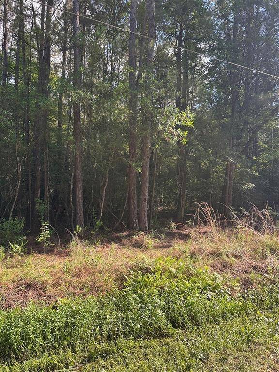 Pearl River, LA 70452,36312 RHEUSAW CRAWFORD RD