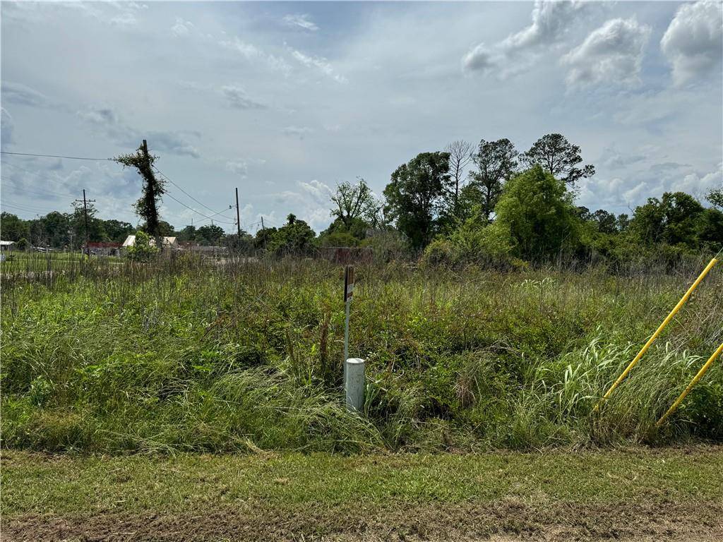 Roseland, LA 70456,TANGIPAHOA AVE