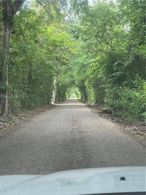 Folsom, LA 70437,STARRY NIGHT LN