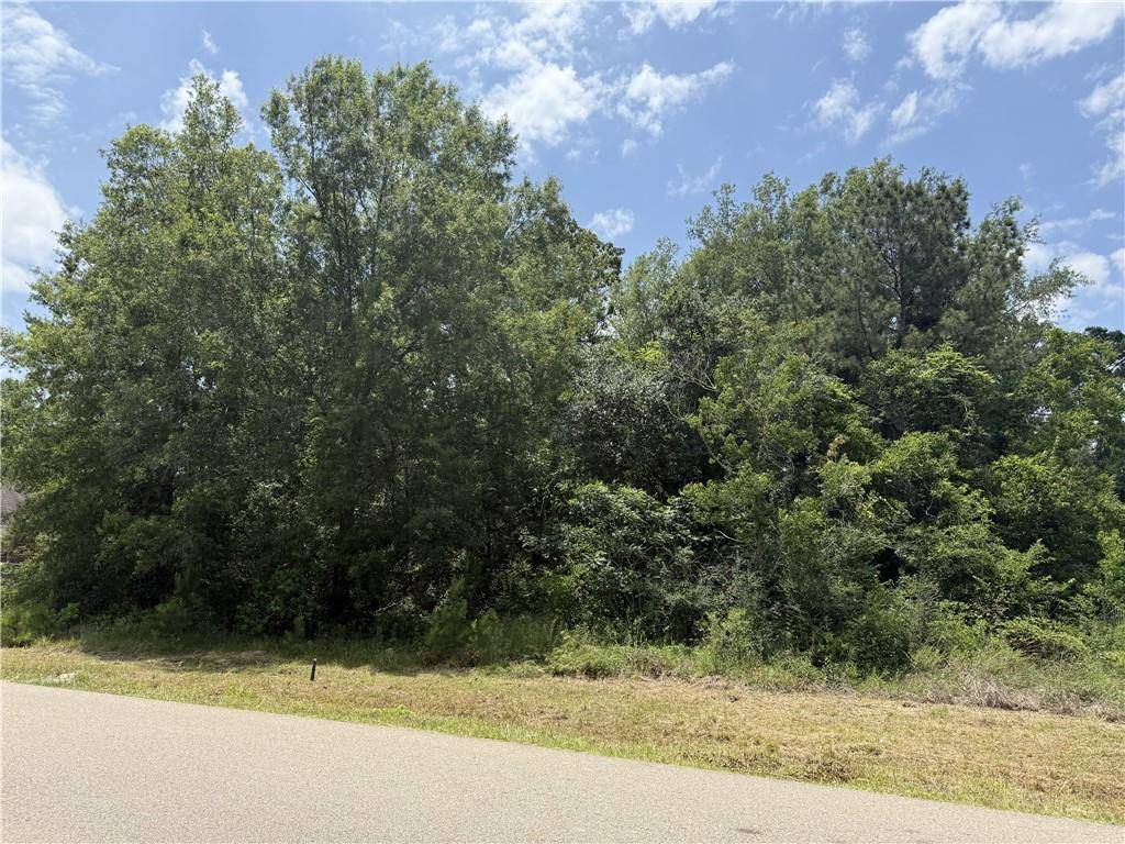 Ponchatoula, LA 70454,106 LOT