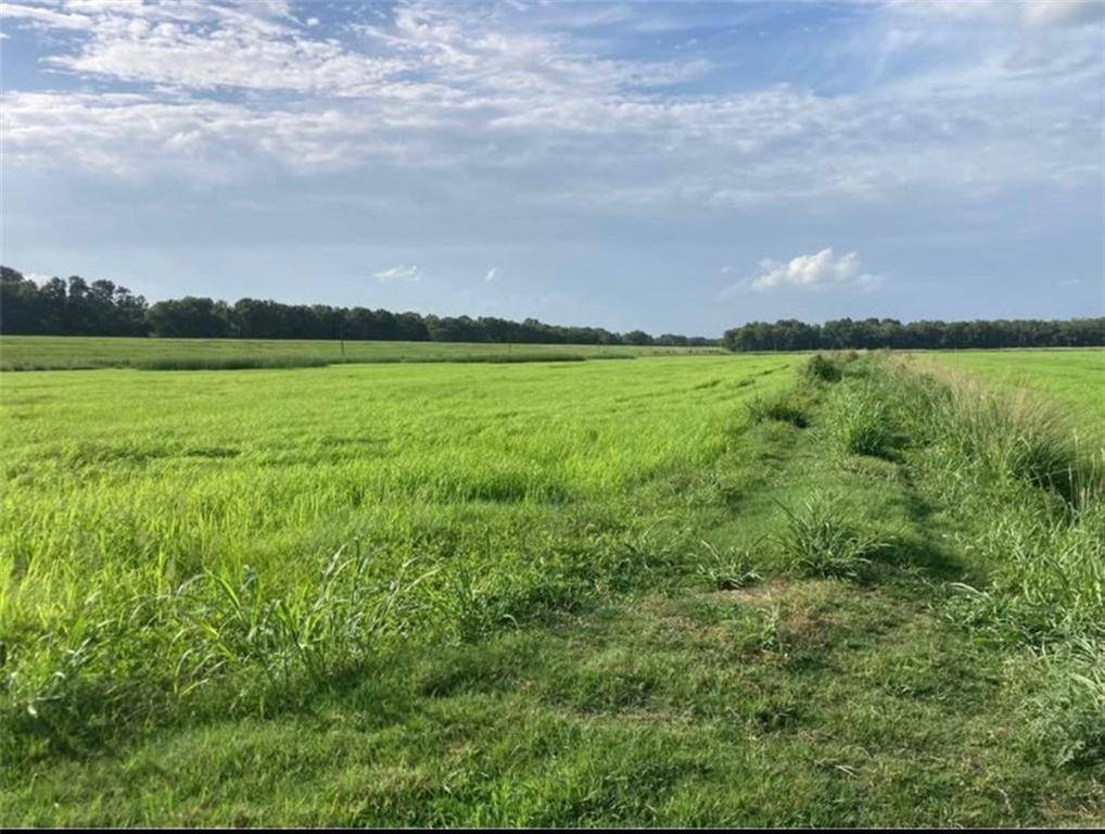 Plaucheville, LA 71362,0 LEVEE RD
