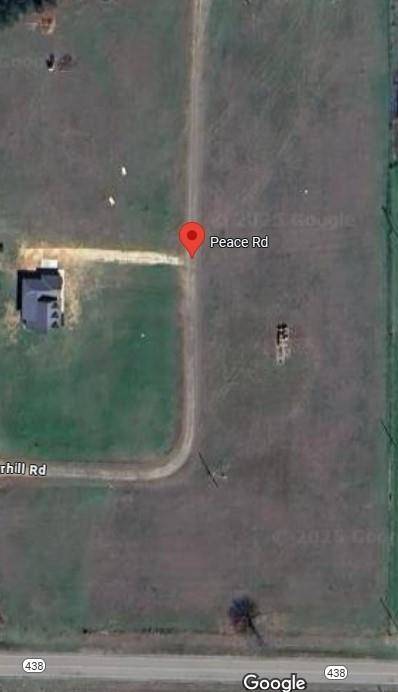 Franklinton, LA 70438,Lot 21 PEACE RD