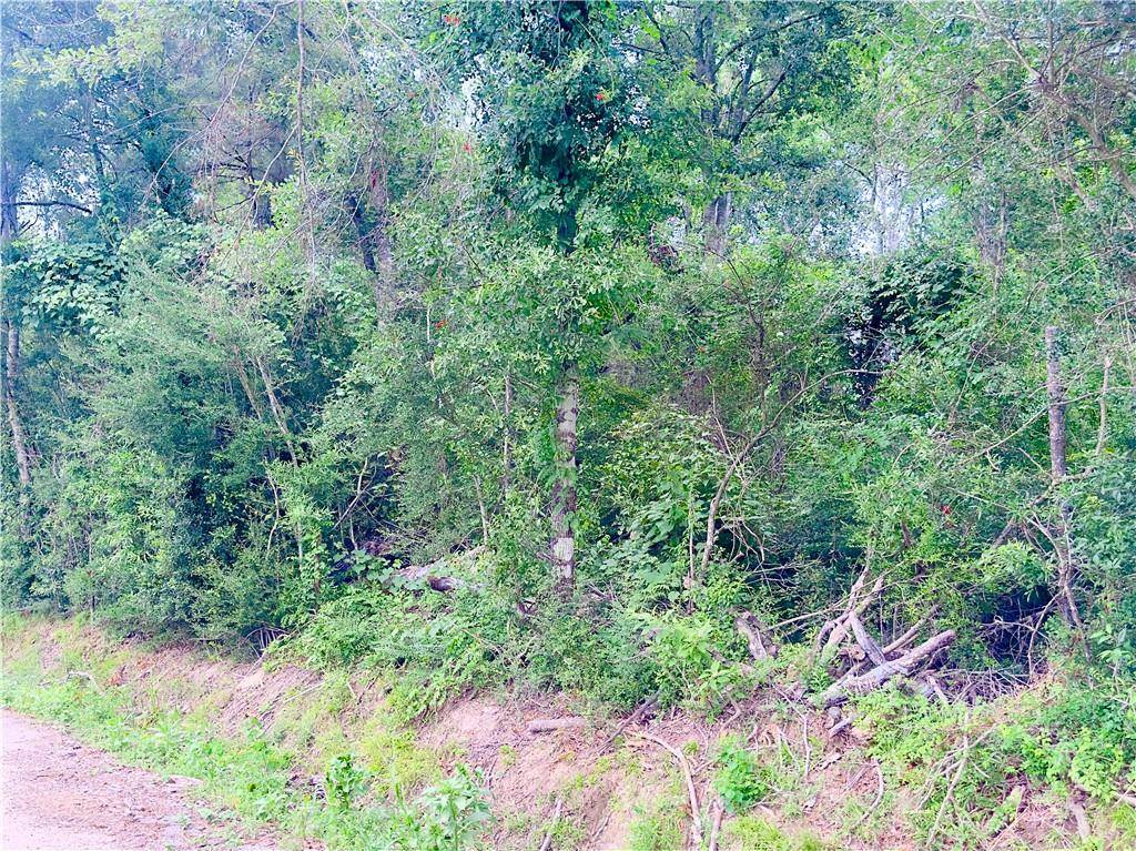 Tickfaw, LA 70466,32.34 Acres MUSACCHIA RD