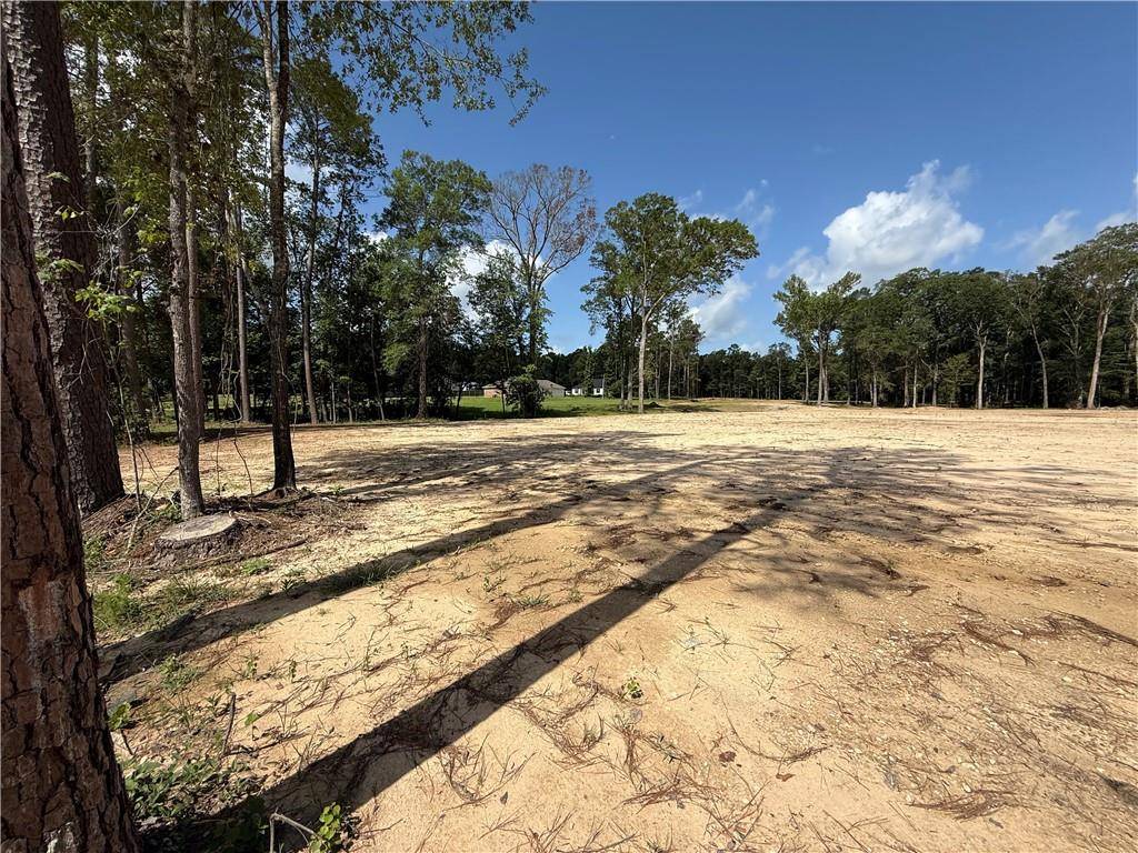 Ball, LA 71405,993 PARADISE RD