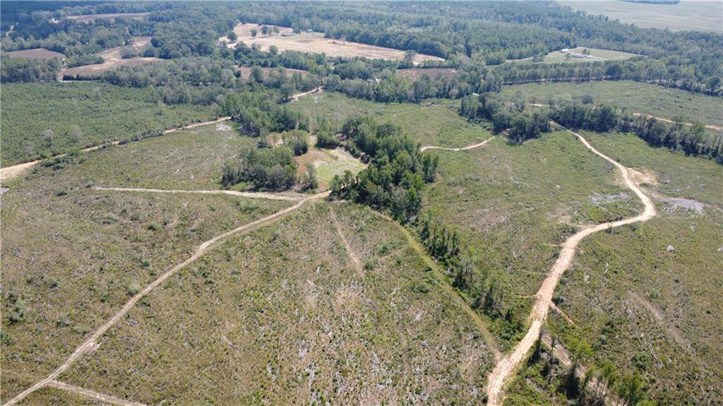 Franklinton, LA 70438,232 Acres CHESS BANKSTON RD