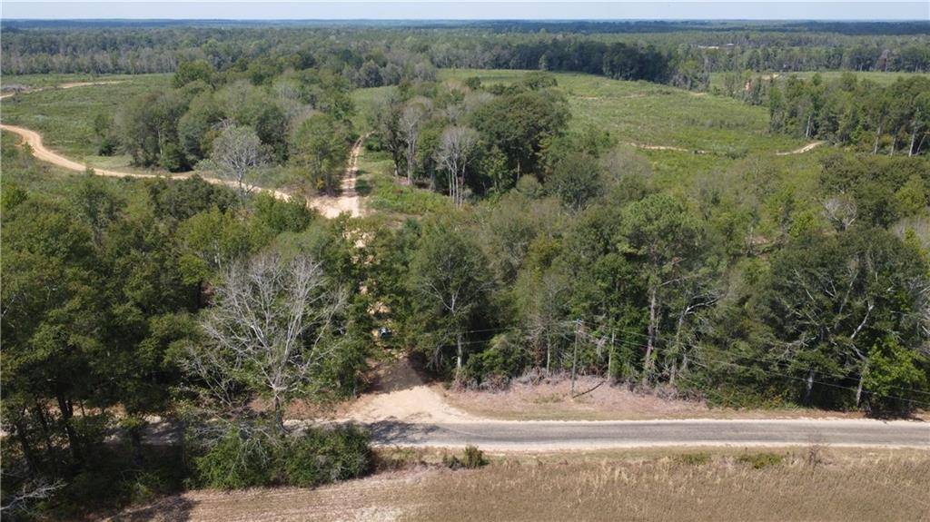 Franklinton, LA 70438,232 Acres CHESS BANKSTON RD