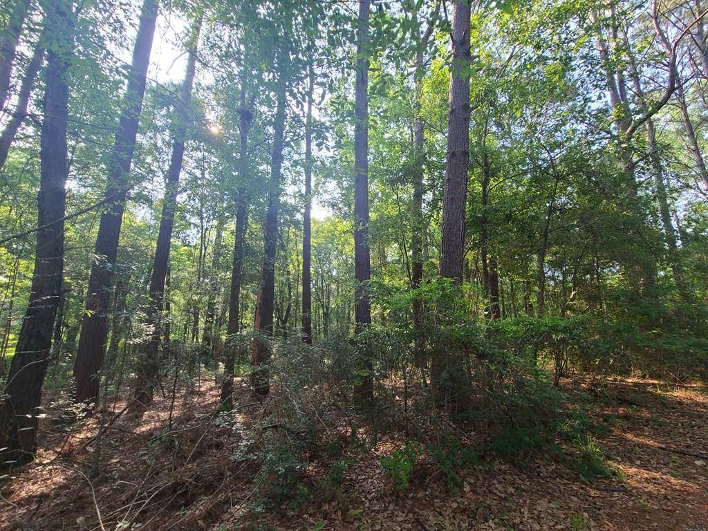 Carriere, MS 39466,00 THOMPSON LN