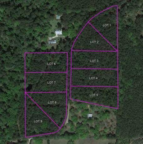 Independence, LA 70443,lot 9 HUBERT STILLEY RD