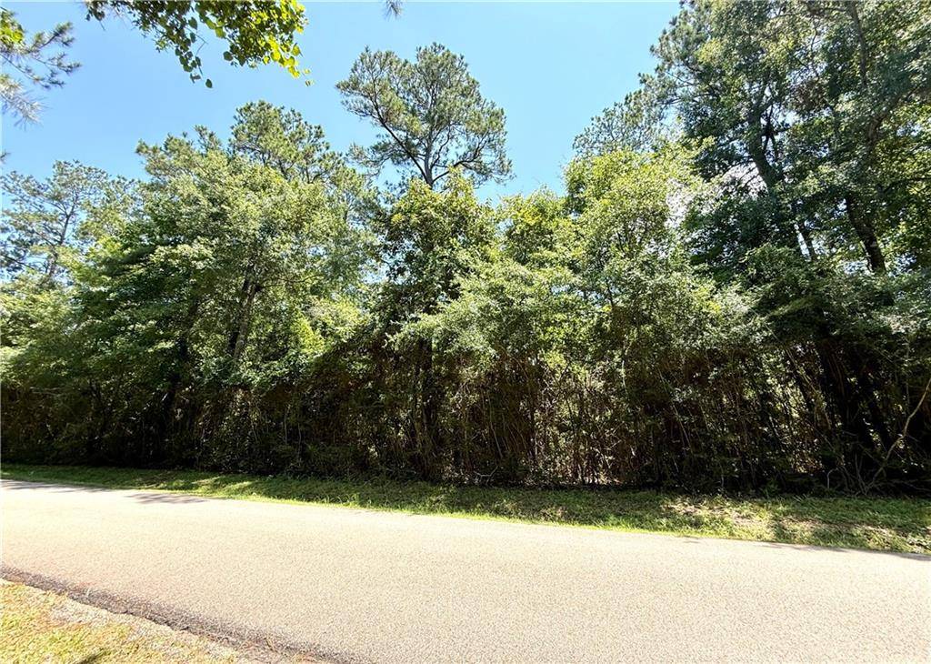 Franklinton, LA 70438,LOT 102 LAKE CHOCTAW DR