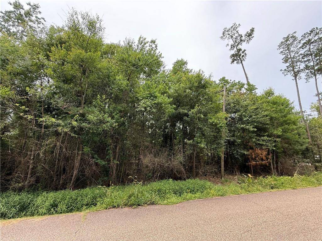 Covington, LA 70433,153A DERBES DR