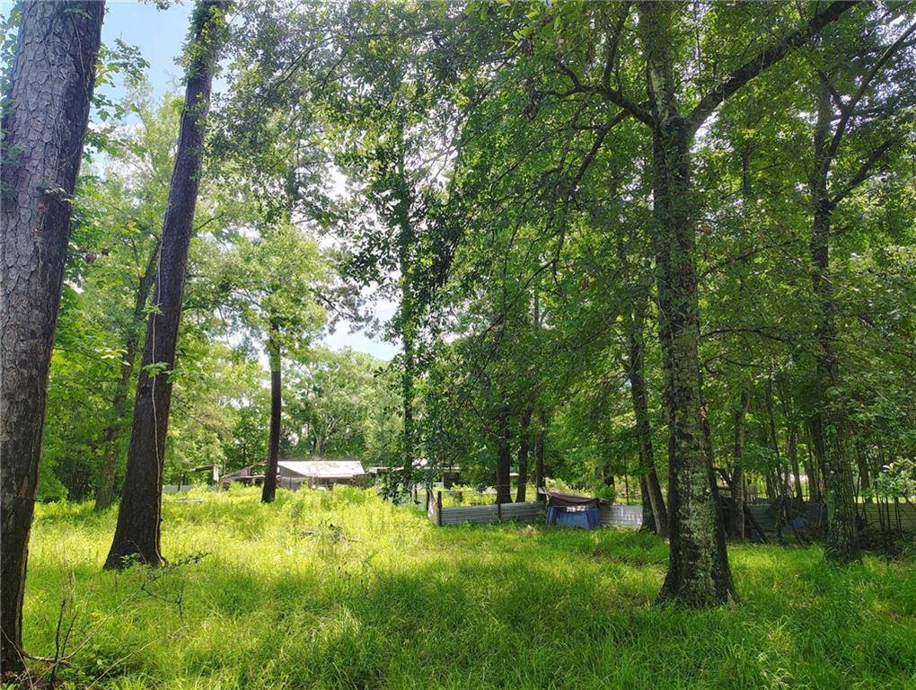 Madisonville, LA 70447,117 HIGHWAY 1077 HWY