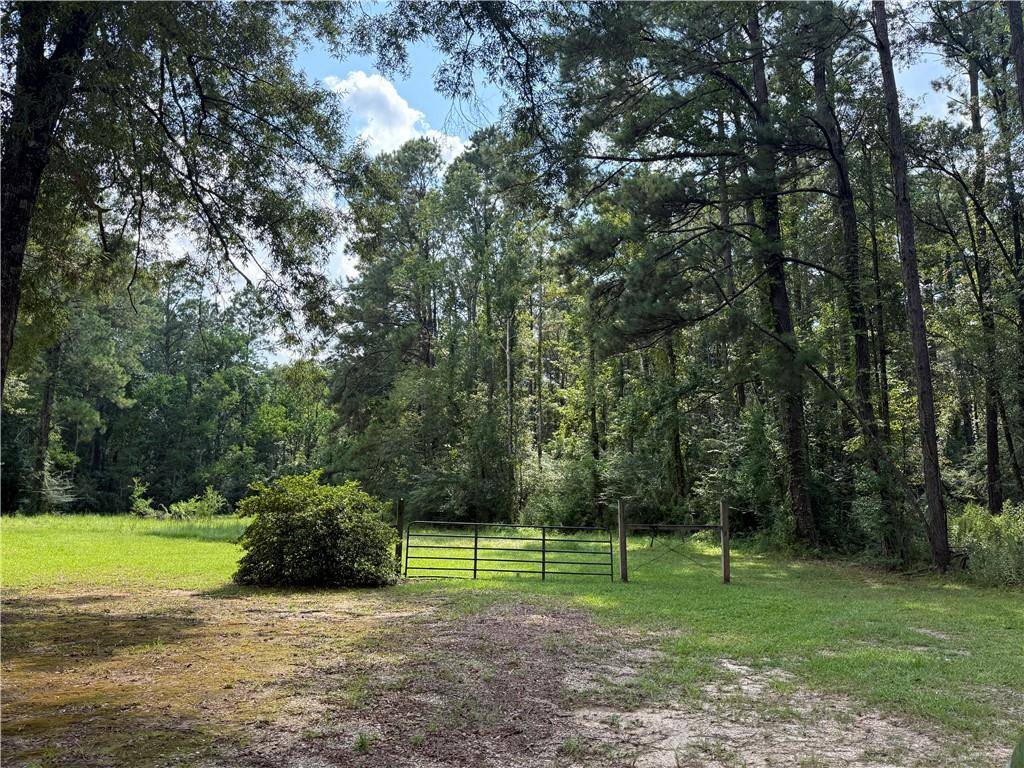 Independence, LA 70443,23.92 ACRES, SECTION 40-5-7