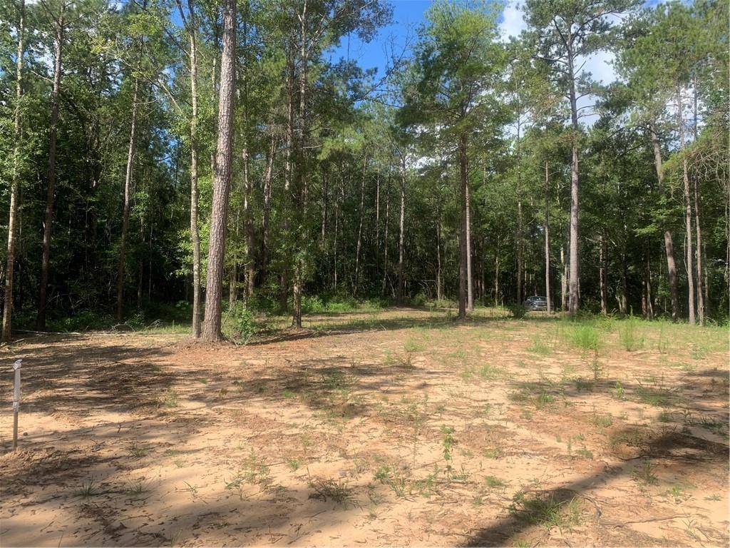 Franklinton, LA 70438,18384 SANDERS RD