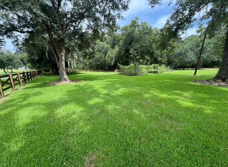 Springfield, LA 70462,BD-4 MEISNER RD