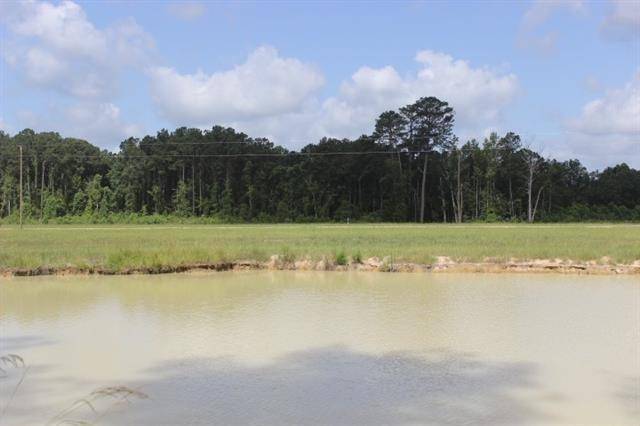 Independence, LA 70443,29644 BILLY JOE RD