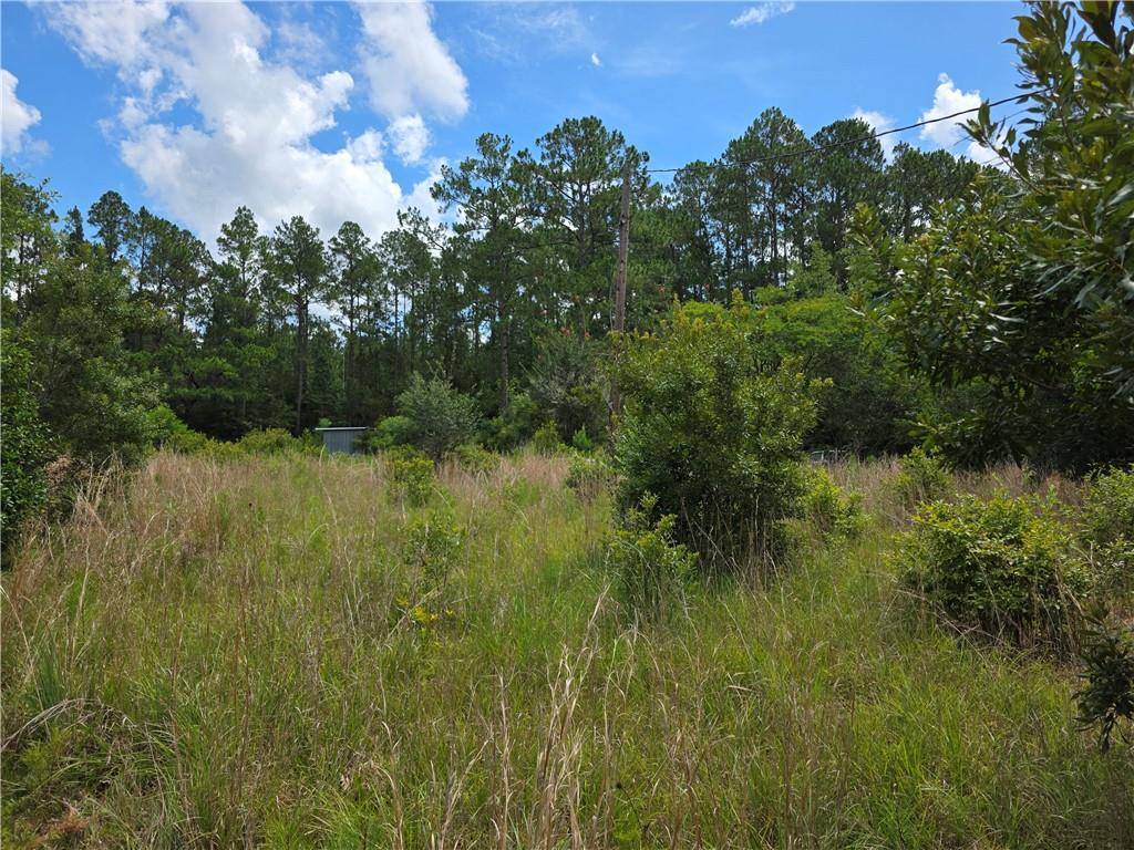 Lacombe, LA 70445,26053 LITTLE FAWN ST