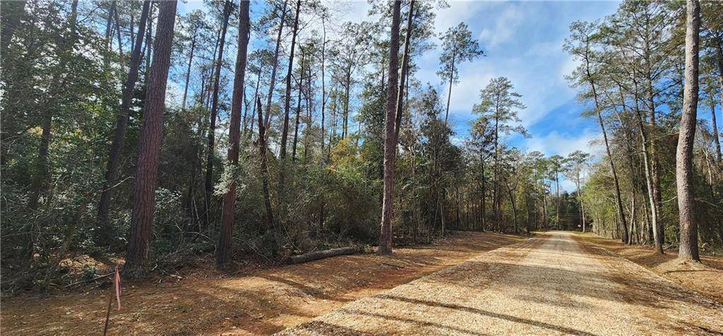 Covington, LA 70435,19550 SOUTHERN PINE ST