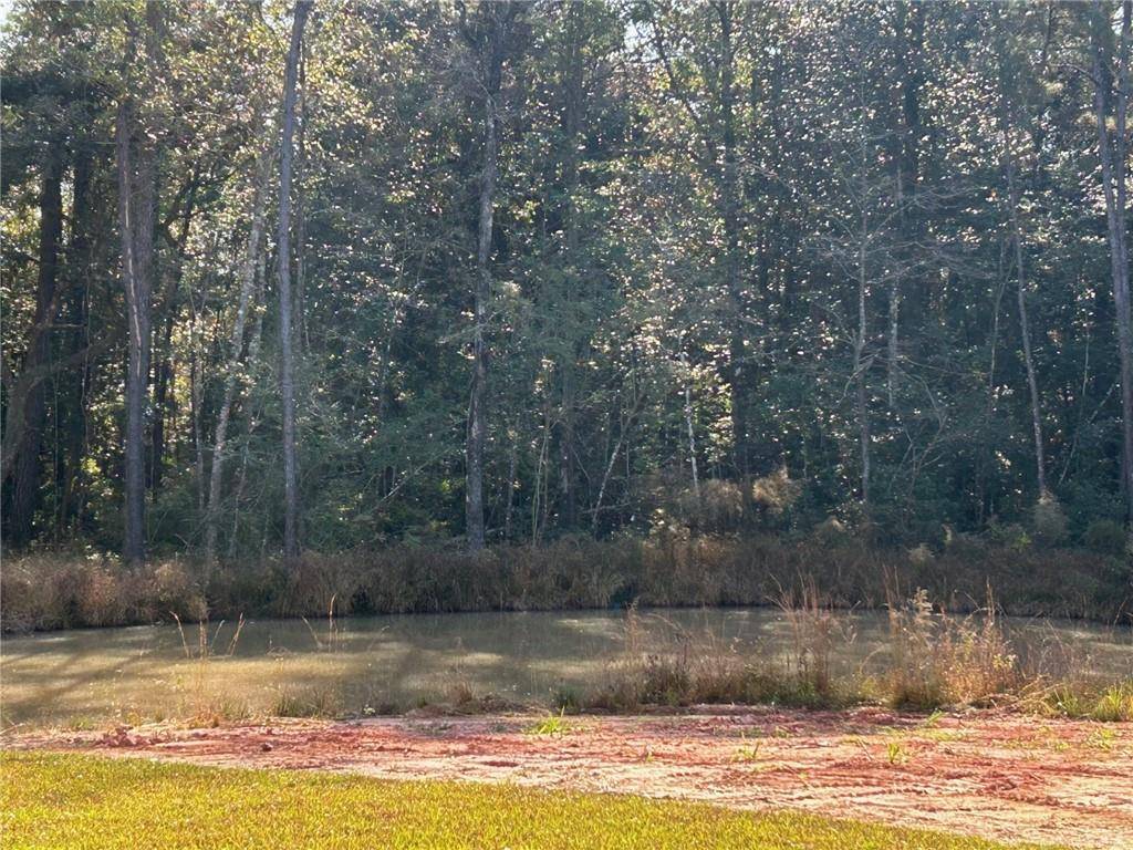 Ponchatoula, LA 70454,24032 S BUNKER HILL RD