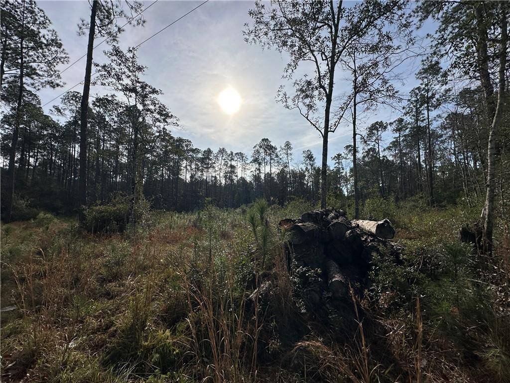 Covington, LA 70435,22116 NOLAN RD