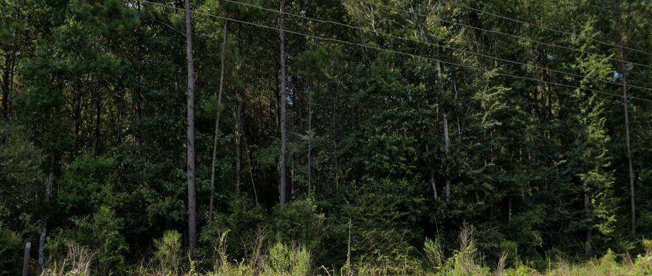 Pineville, LA 71360,15.4 Acres HWY 107 HWY