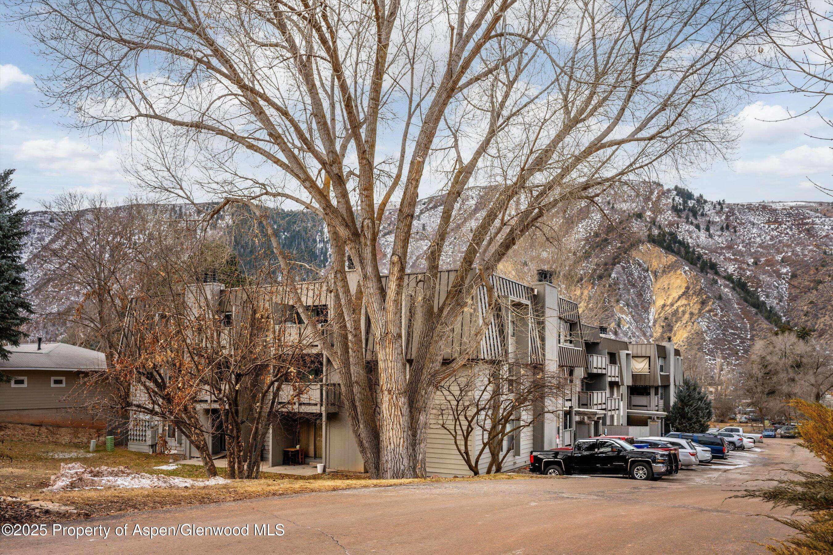 Glenwood Springs, CO 81602,1527 Blake Ave 209