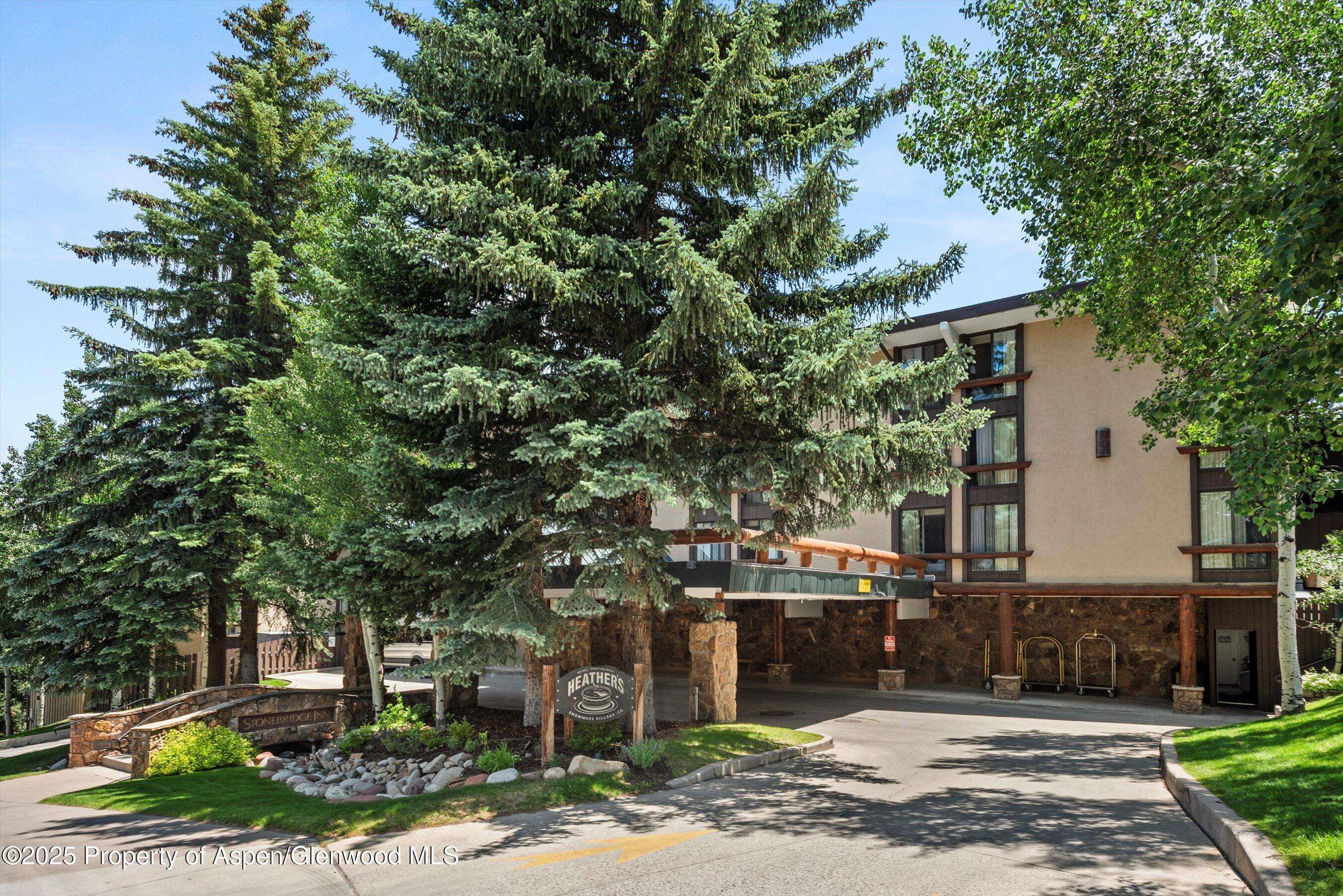 Snowmass Village, CO 81615,300 Carriage Way 623