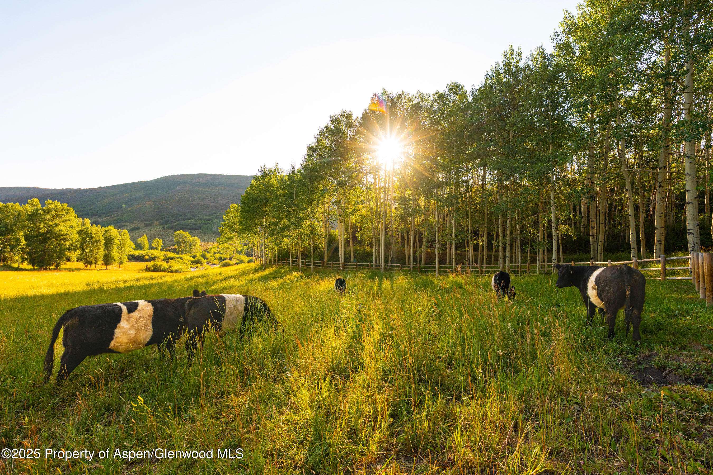 Snowmass, CO 81654,8500 & TBD Snowmass Creek Road