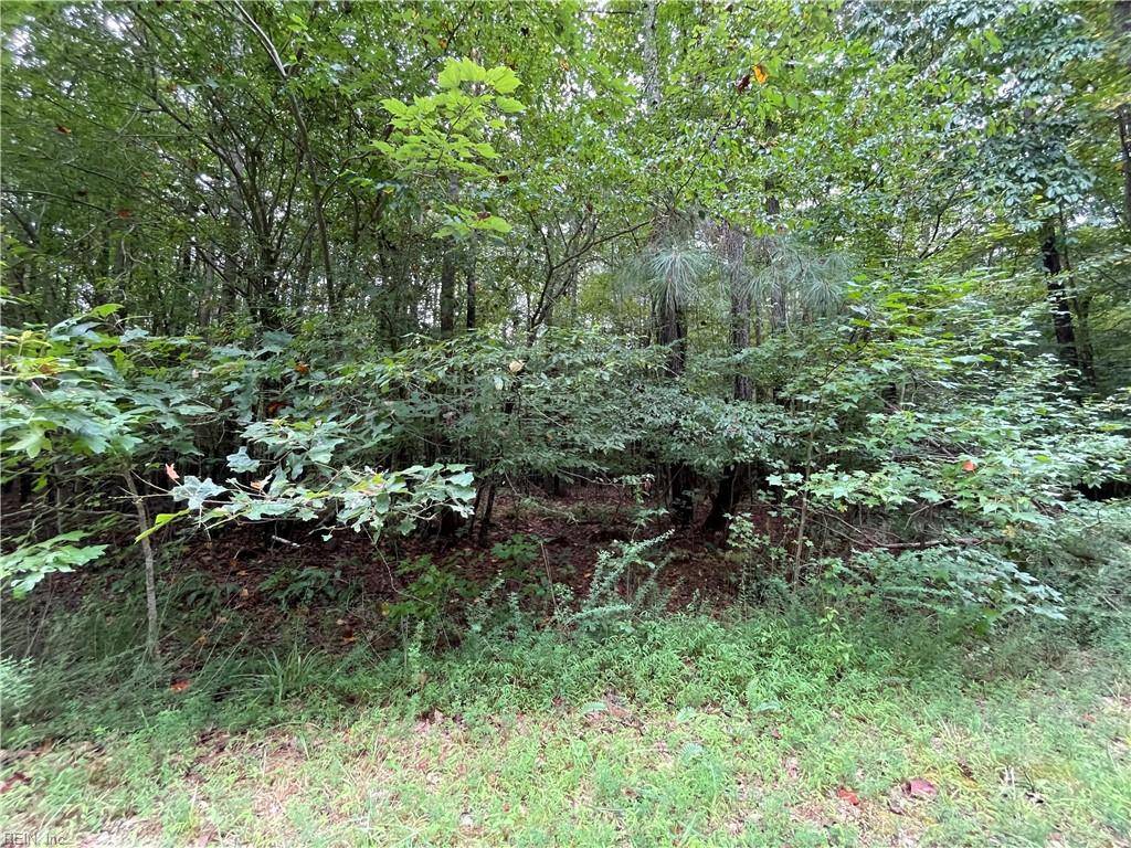 Gloucester, VA 23061,00 Beech Creek 10.88Ac RD