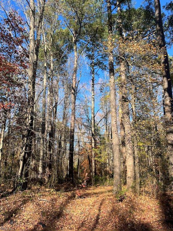 Suffolk, VA 23435,lot 80 Pughsville RD