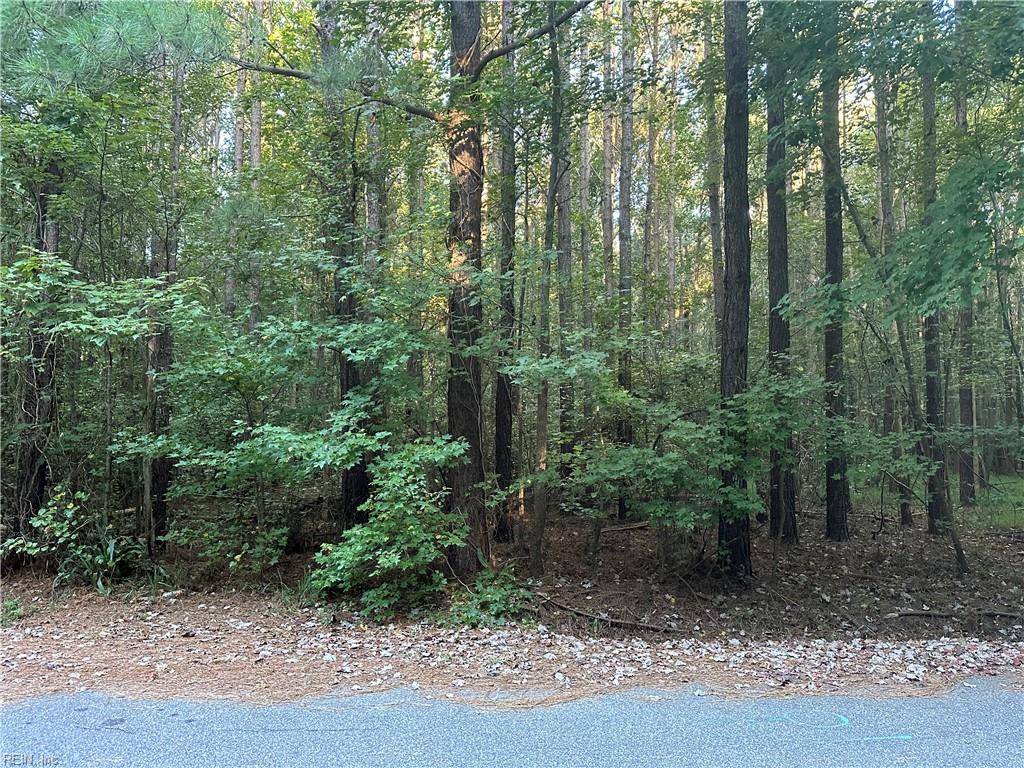 Chesapeake, VA 23321,20.5ac Jolliff RD