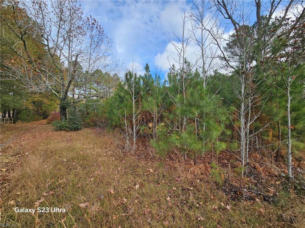 Gloucester, VA 23061,0000 George Washington Memorial HWY