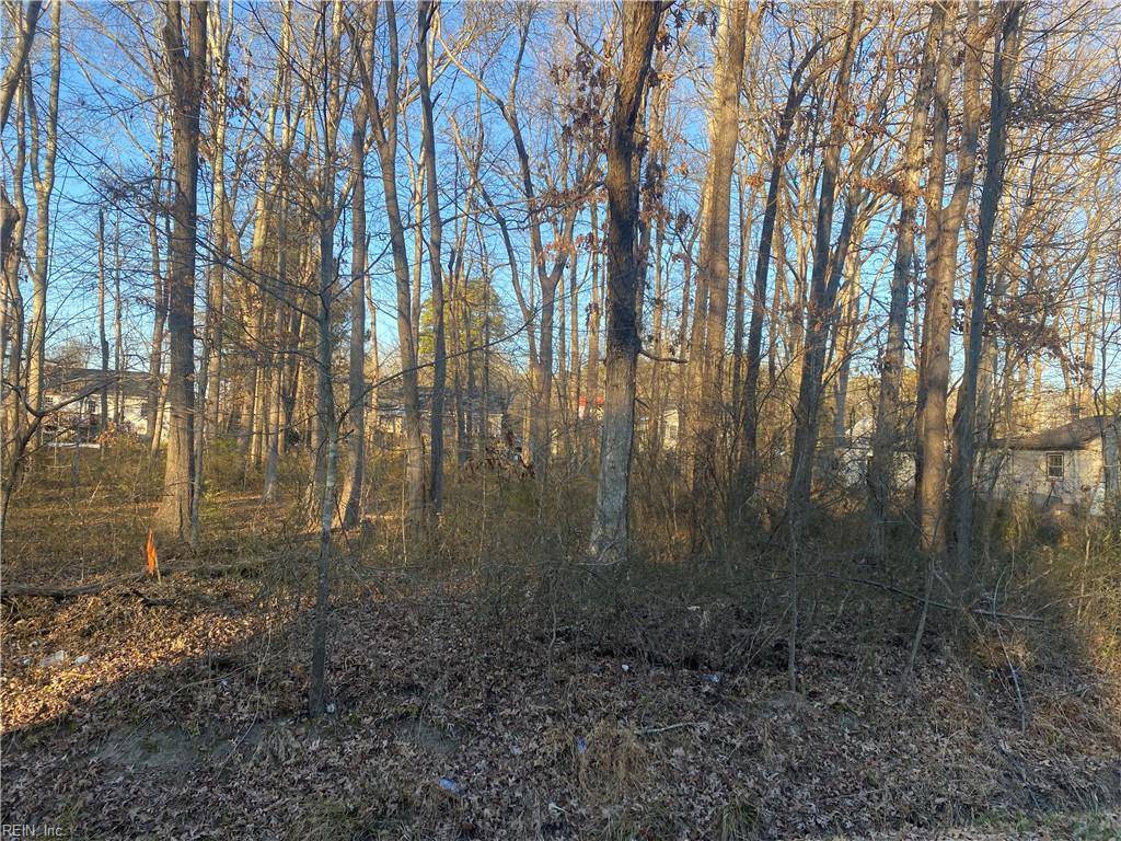 Blackstone, VA 23824,802 Luke ST