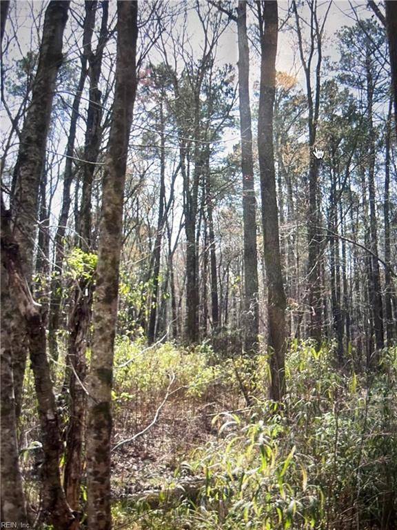 Chesapeake, VA 23322,-1/4AC Tuck ST