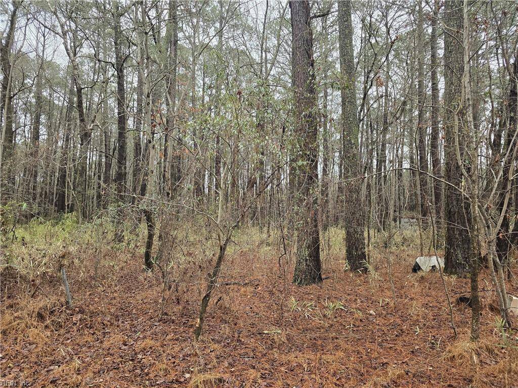 Chesapeake, VA 23321,5533 Willow Lake RD