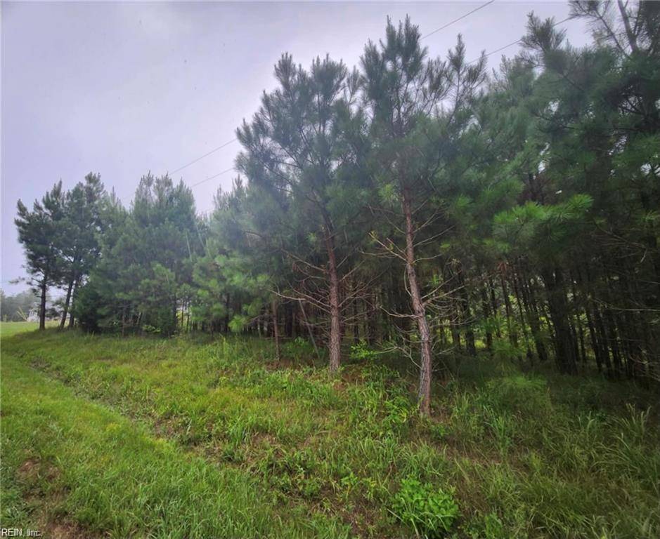 Hurt, VA 24563,.50+AC Splendors Gate Subd Lot 8