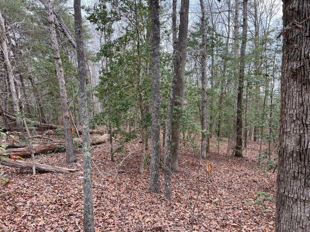 Toano, VA 23168,Road