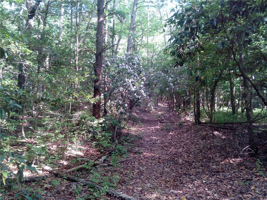 Woods Cross Roads, VA 23190,25+AC Millers Landing RD
